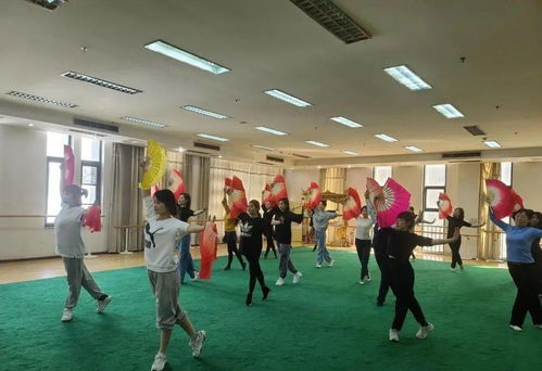 西青区文化文艺志愿服务在行动 专业咨询暖人心，艺术惠民谱新篇